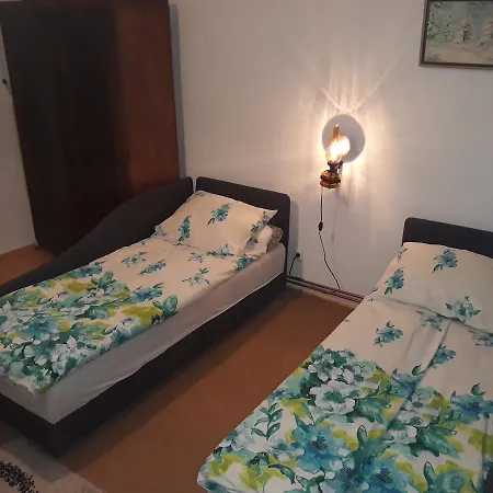 Mickey Πανσιόν *